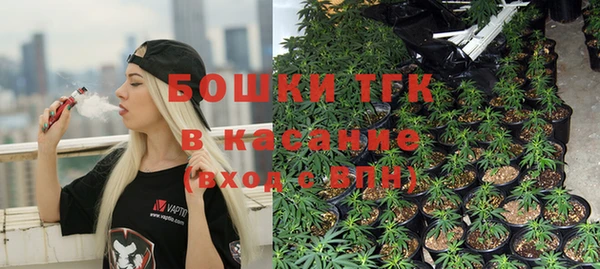 МДПВ Волоколамск