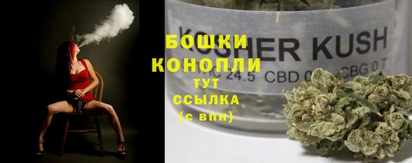 МДПВ Волоколамск