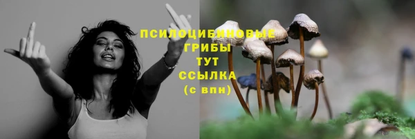 МДПВ Волоколамск