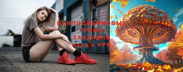 МДПВ Волоколамск