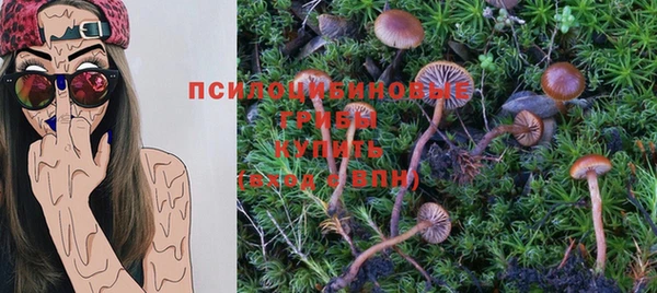 прущие грибы Покачи