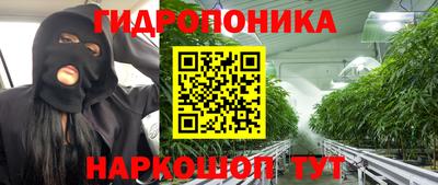 МДПВ Славгород