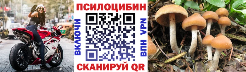 даркнет как зайти  Арзамас  Галлюциногенные грибы Magic Shrooms 