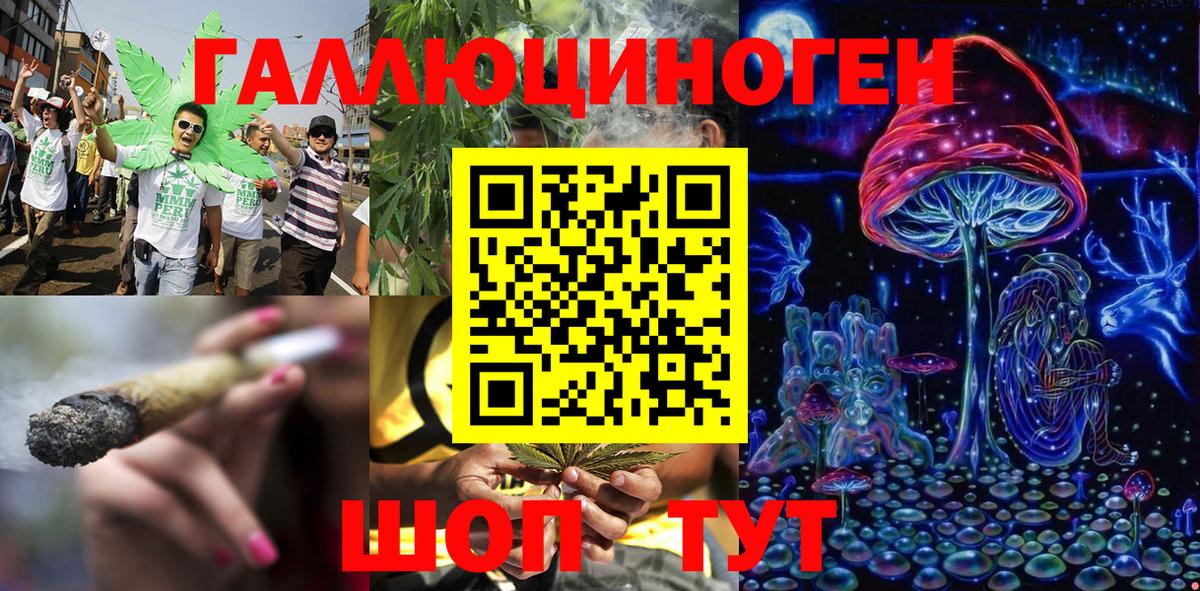 Псилоцибиновые грибы мицелий Арзамас